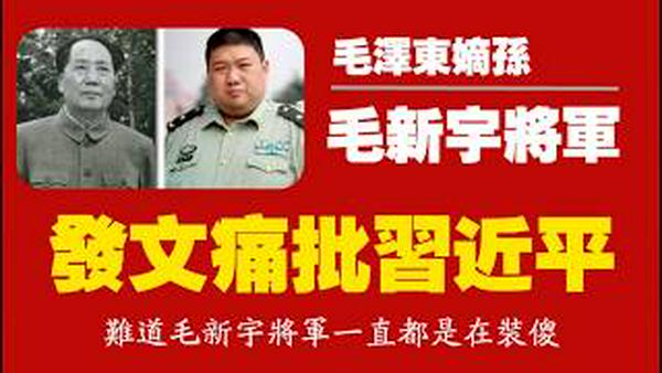 毛泽东嫡孙，毛新宇将军，发文痛批习近平。难道毛新宇将军一直都是在装傻？2026.02.27NO3338#毛新宇#习近平