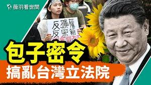 台湾太阳花2.0的背后是扩权还是改革？台湾人觉醒了吗？｜薇羽看世间 20240522