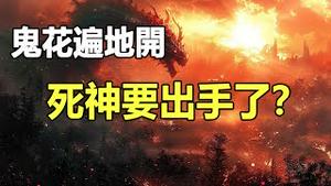 🔥🔥中国多地惊现“鬼花”❗死亡天使降临地球征兆❓波尼警告：若预言成真 这些人一个都逃不过❗