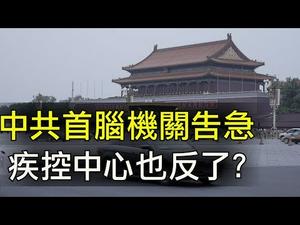 中共首脑机关告急，北京升级至武汉级别； 中国疾控中心挑战习近平，上海党媒、环球时报帮腔；俄罗斯“反华” 不认“一个中国”，为何中共依然欢心！（江峰漫谈20200221第123期）