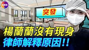 【真飞带你悉尼现场直击！】杨兰兰视讯「现身」！6周之后再开庭！律师分析案件走向！