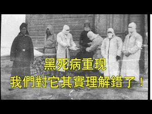 鼠疫的传播与王朝末劫，我们对黑死病其实理解错了！（20191129第666期）