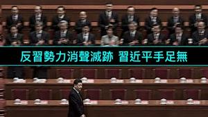 「江贼死后 习近平开启了妥协政策 ⋯⋯为什么？」