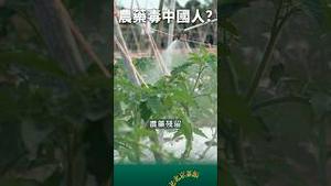 天塌了！农药进中国人大脑！