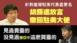 针对台湾驻美代表处更名，胡锡进放言撤回驻美大使。见过卖台的，没见过张亚中这么卖台的。2021.09.13NO921#台湾驻美代表处#驻美大使