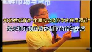 知名教授演讲“中国政治经济学的底层逻辑”，揭示现有割韭菜体制下的经济本质！