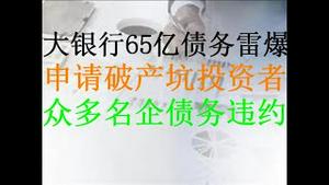 财经冷眼：5500亿资产的大银行雷爆，申请破产后将坑大量投资者！众多名企债务连环违约，中国债务明斯基时刻的经济学分析！（20201117第383期）