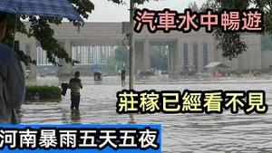 9月4日河南暴雨已经持续5天，田里的庄稼已经看不见|学校升级为航海学校，汽车已经习惯泡在水中|长期泡在水中的河南|#河南暴雨#9月突发#2021水灾