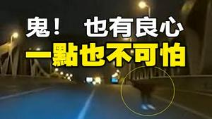 🔥🔥电视台证实：真的拍到「鬼」❗江苏司机开车撞「鬼」画面曝光❗这个「良心鬼」一点也不可怕❗