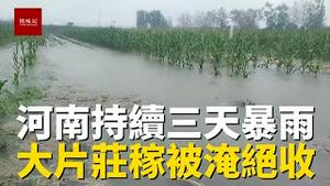 河南暴雨持续，农村庄稼再次被淹，今年可能绝收，老百姓太难了