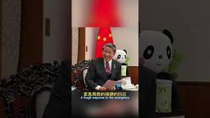 突发！中共战狼外交官扬言斩首日本女首相或将遭驱逐！中日外交核弹引爆Chinese diplomats threaten to behead Japanese female prime minister