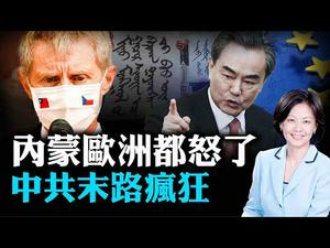 中共又在内蒙惹事，还嫌加速不够快？重磅！美牵头在台湾举办重塑全球产业链会议；王毅祸从口出，捷克高调访台将带动欧洲 | 横河 Jason | 热点互动 09/02/2020