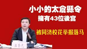 小小的太仓县令拥有43位后宫，被同济校花举报落马。2025.07.19NO2790