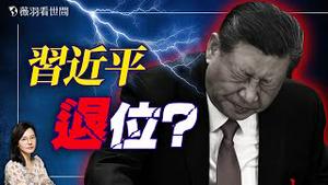 军队大乱！苗华落马，习近平被架空；党指挥枪的时代结束，中国面临巨变！｜薇羽看世间 20241129