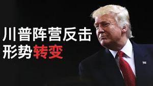 川普阵营全面反击, 形势出现转变(字幕)/Trump Camp Began to Change the Situation/王剑每日观察/20201110