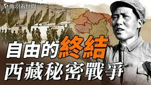 解放军在西藏屠杀的藏人多达45万多，毛泽东为何吃下定心丸公然入侵西藏？西藏真的是和平解放吗？【历史真相】｜薇羽看世间 第687期