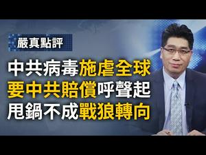 要中共赔偿呼声渐起，甩锅不成战狼转向。 645期_严真点评+外交部大实话