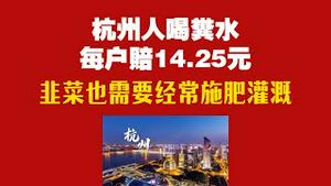 杭州人喝粪水，每户赔14.25元。韭菜也需要经常施肥灌溉。2025.07.18NO2785