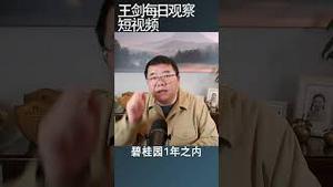 碧桂园为什么还不起美元债利息/王剑每日观察 #shortsviral #shortsfeed #shortsvideo