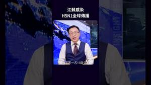 江苏感染H5N1全球传播