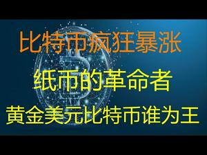 财经冷眼：全球放水大通胀，中国外汇管制，这项资产加速暴涨3倍！纸币的革命者出现！黄金美元比特币谁为王？（20210104第429期）