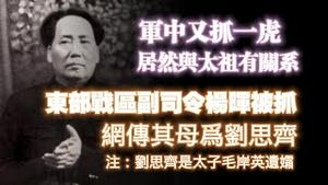 军中又抓一虎，居然与太祖有关系。东部战区副司令杨晖被抓，网传其母为刘思齐注：刘思齐是太子毛岸英遗孀。2024.10.11NO2520#毛泽东#毛岸英#刘思齐#杨晖