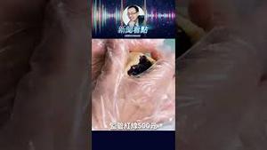 月饼大跳水！宝格丽、文华东方腰斩特价，中国人却连买月饼的钱都没了？ #中共