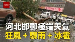 河北邯郸武安一带突发狂风暴雨加冰雹天气，很多树木倒塌，网友担心家院子快塌了