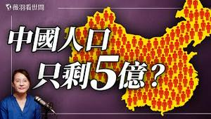 大宇谈人口消失之谜！AI推算中国人口只有5亿！无人村越来越多，城乡都无人，人都去哪儿了？｜薇语双谈 20251213
