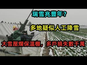 人工降雪适得其反，北方多地保温棚被暴雪破坏|都说瑞雪兆丰年，一场大雪回到解放前|三千多亩瓜棚全烂掉|农民也不好过|#暴雪#种植户#损失惨重