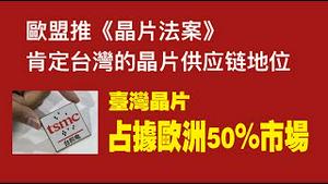 欧盟推《晶片法案》肯定台湾的晶片供应链地位。台湾晶片占据欧洲50%市场。2022.02.09NO1124