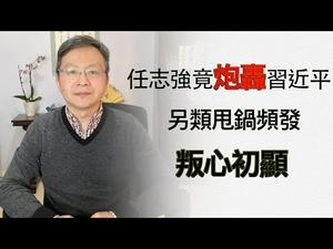 王忠林“感恩门”翻车、任大炮对“一尊”开火，另类甩锅藏叛心！（字幕20200309第714期）