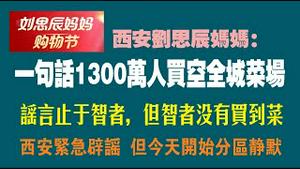 西安刘思辰妈妈：一句话1300万人买空全城菜场。谣言止于智者，但智者没有买到菜。西安紧急辟谣，但今天开始分区静默。2022.10.21NO1562#刘思辰妈妈购物节#西安#热带雨林