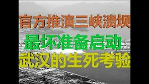 财经冷眼：官方推演三峡溃坝，已做最坏准备，武汉生死考验来了！（20200729第297期）