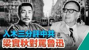 【历史人物】他是毛泽东口中的反动文人，鲁迅口中的丧家走狗，《我为什么不赞成共产党》，梁实秋入木三分评中共。｜薇羽看世间 第672期