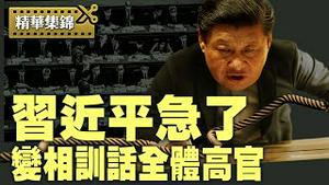 高官齐聚北京，高规格令人震惊，习近平训话只为一件事；芬兰总统拿朝鲜警告习近平【精彩集锦】