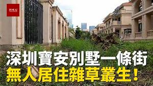 深圳宝安闹市别墅一条街，里面杂草丛生，无人居住荒废，究竟是什么情况？