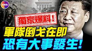 【重磅】集团军内部爆料，张又侠被抓细节！军队准备倒戈，恐有大事发生！#真飞 #真观点