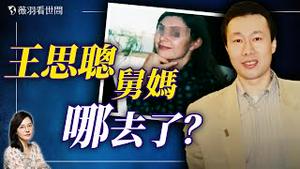 中国亿万富豪两任妻子离奇死亡，背后究竟隐藏著什么样的惊人真相？｜薇羽看世间 20240922