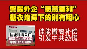 警惕外企“恶意福利”，糖衣炮弹下的别有用心。佳能撤离补偿，引发中共恐慌。2025.12.12NO3199#佳能