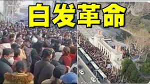 白发革命！武汉数十万人集会游行，高喊打倒反动政府！沿武昌起义路线。大连同日爆发示威。官府阻路、封网、抓人、关闭地铁站。民众齐心救人。广州人民抗议获胜