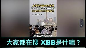 「吓坏啦🤯！抖音置顶 2.3亿人次关注：XBB-『中共病毒-习BB』二次感染！」