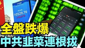 「涛哥直播间」网友：涛哥 还能回4000点吗？（10 /09/24）