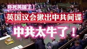 吓死英国了！英国议会揪出中共间谍。中共太牛了。2023.09.11NO1988