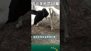 卖180元羊肉罚10万？韭菜割到根部！