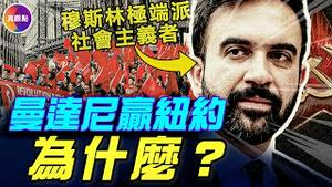 纽约沦陷！社会主义者曼达尼成市长！20分钟看懂曼达尼的政策和胜选之路，为何受年轻人支持？#真飞 #真观点