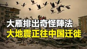 🔥🔥大地震正往中国迁徙❗大雁排出奇怪阵法❗天上降下活鱼❗这是什么操作❓