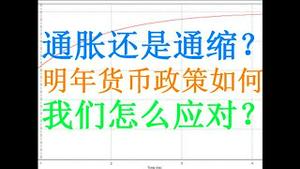 财经冷眼：11年来CPI首为负，到底是通缩还是通胀？如何防止货币紧缩导致杠杆断裂？如何躲避灰犀牛？（20201211第402期）