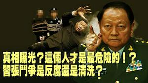 「反党小集团」苗华才是主角？萧美琴欧洲议会开启外交新舞台！中共的战狼施压为何失灵了？【每日直播精华｜天亮时分】11132025