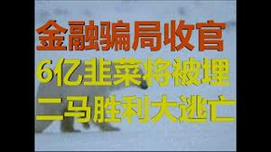 财经冷眼：国家级金融骗局突然收官，6亿韭菜将被埋，二马胜利大逃亡！（20200714第283期）